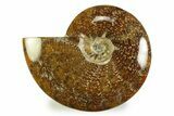 Polished, Agatized Ammonite (Cleoniceras) - Madagascar #328395-1